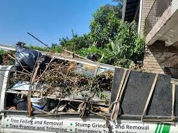 Best Residential Junk Removal  in Smithfield, NC